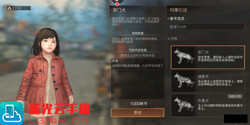 明日之后宠物狗