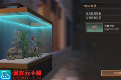 明日之后淡水鱼