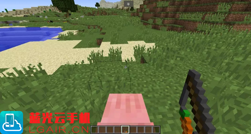 我的世界