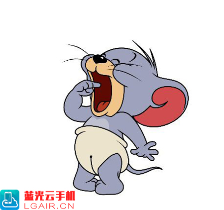 猫和老鼠