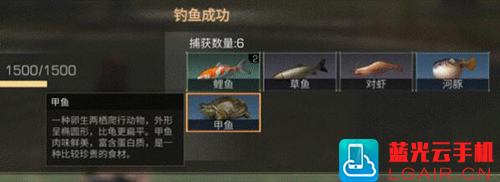 明日之后